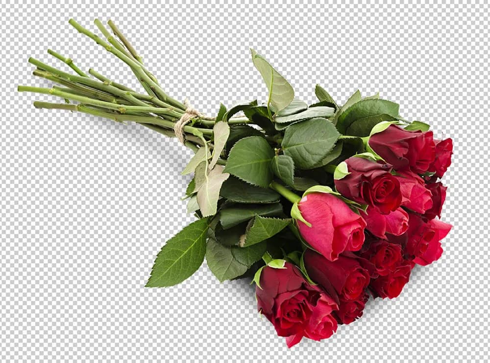 Strauß roter Rosen mit Bast gebunden als Freisteller auf transparentem Grund