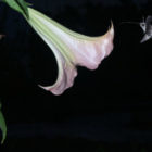 produktfotografie_schwarz_hintergrund